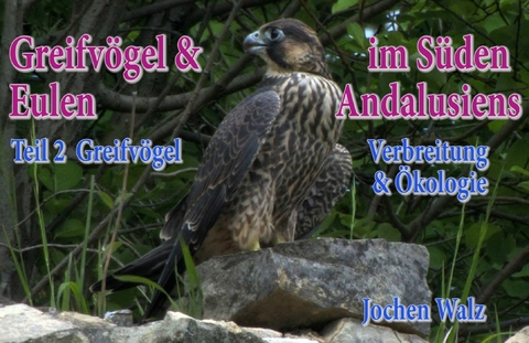 Greifv&ouml;gel und Eulen im S&uuml;den Andalusiens Teil 2 Greifv&ouml;gel - Jochen Walz