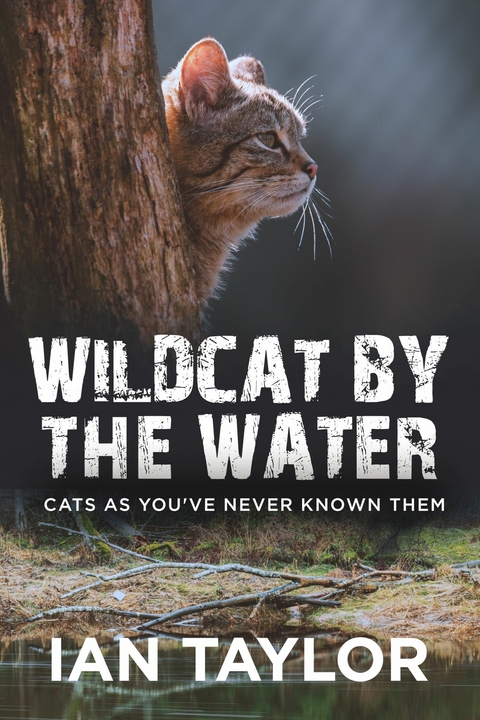 Wildcat By The Water -  Ian Taylor