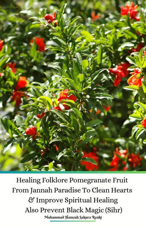 Healing Folklore Pomegranate Fruit From Jannah Paradise To Clean Hearts & Improve Spiritual Healing Also Prevent Black Magic (Sihr) -  Muhammad Hamzah Sakura Ryuki