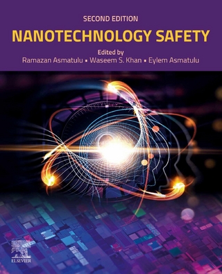Nanotechnology Safety