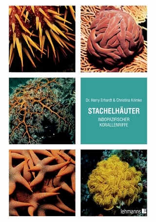 Stachelhäuter indopazifischer Korallenriffe