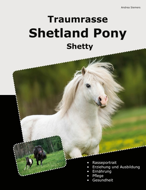 Traumrasse Shetland Pony - Andrea Siemers