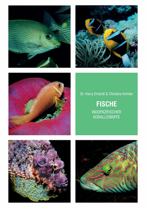 Fische indopazifischer Korallenriffe - Harry Erhardt, Christina Krimke