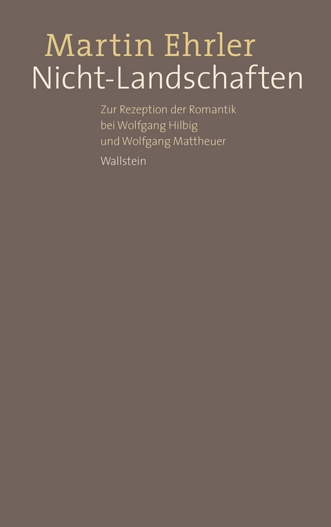Nicht-Landschaften -  Martin Ehrler