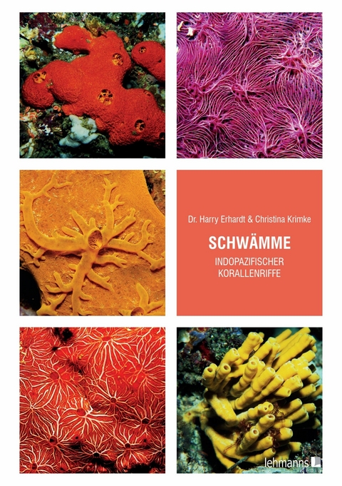 Schw&auml;mme indopazifischer Korallenriffe - Harry Erhardt, Christina Krimke