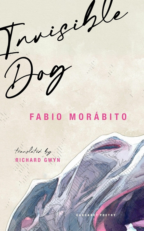 Invisible Dog - Fabio Mor&aacute;bito