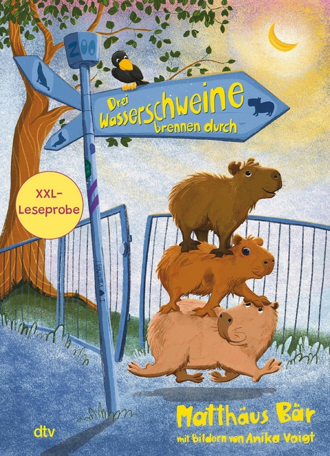 XXL-Leseprobe: Drei Wasserschweine brennen durch / Drei Wasserschweine wollen's wissen - Matthäus Bär