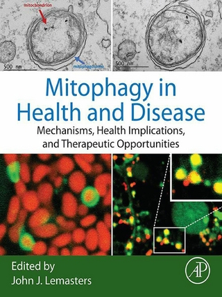Mitophagy in Health and Disease
