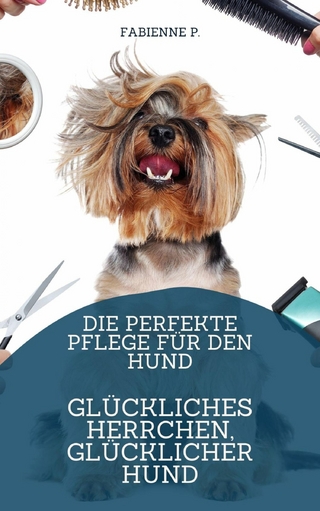 Pflege für den Hund