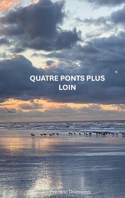 Quatre Ponts Plus Loin -  Fr&eacute;d&eacute;ric Driessens