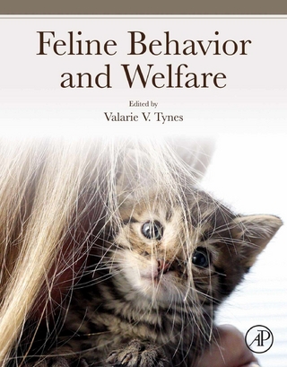 Feline Behavior and Welfare