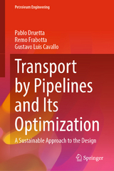Transport by Pipelines and Its Optimization - Pablo Druetta, Remo Frabotta, Gustavo Luis Cavallo