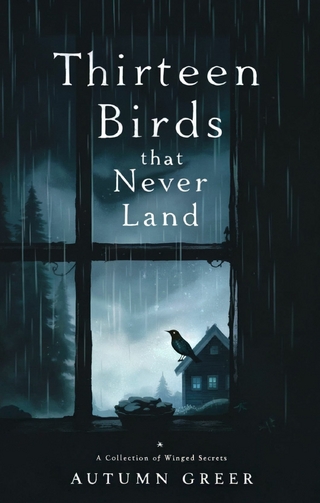 Thirteen Birds That Never Land