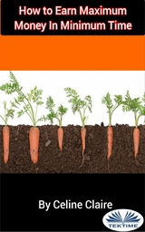 How To Earn Maximum Money In Minimum Time -  Celine Claire