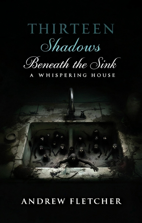 Thirteen Shadows Beneath the Sink -  Andrew Fletcher