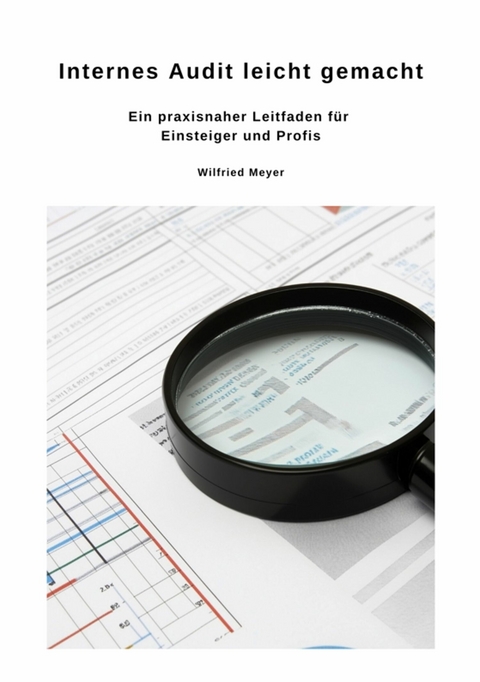 Internes Audit leicht gemacht - Wilfried Meyer