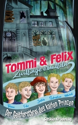 Tommi und Felix Zwillinge ermitteln - Saskia Meixner