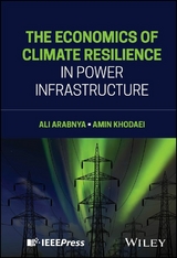 The Economics of Climate Resilience in Power Infrastructure - Ali Arabnya, Amin Khodaei