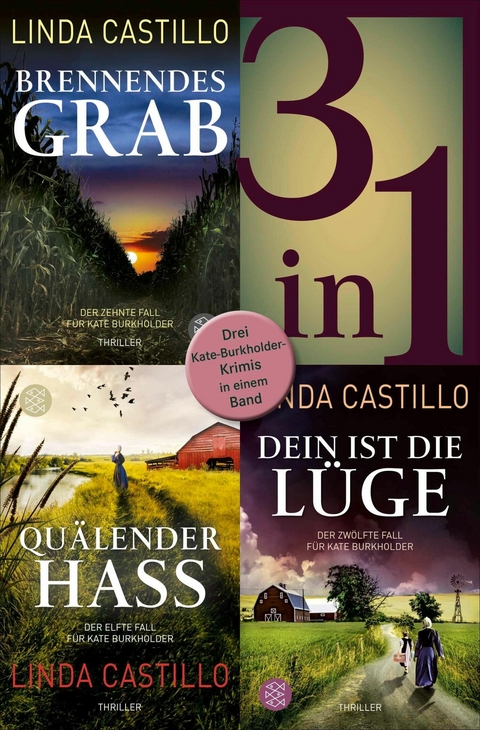 Brennendes Grab / Qu&auml;lender Hass / Dein ist die L&uuml;ge - Drei Kate-Burkholder-Krimis in einem Band - Linda Castillo