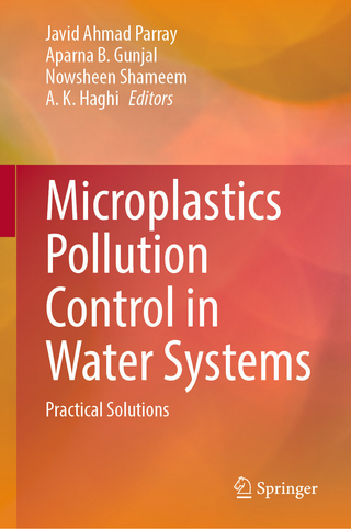 Microplastics Pollution Control in Water Systems