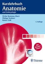 Kurzlehrbuch Anatomie - Ulrike Bommas-Ebert, Philipp Teubner, Rainer Vo&szlig;