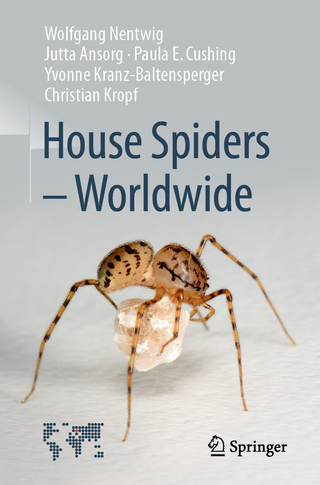 House Spiders - Worldwide