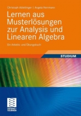 Lernen aus Musterl&ouml;sungen zur Analysis und Linearen Algebra - Christoph Ableitinger, Angela Herrmann
