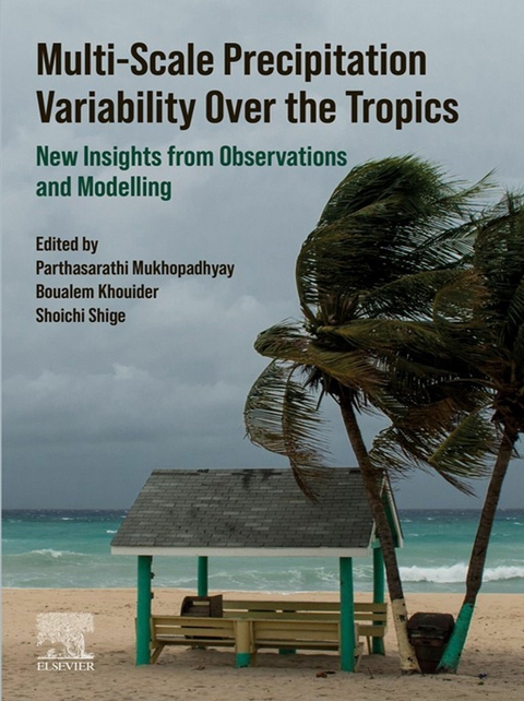Multi-Scale Precipitation Variability Over the Tropics - 