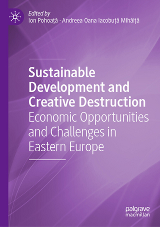Sustainable Development and Creative Destruction