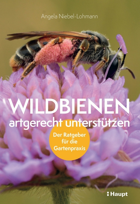Wildbienen artgerecht unterst&uuml;tzen - Angela K. Niebel-Lohmann