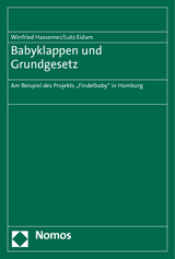 Babyklappen und Grundgesetz - Winfried Hassemer, Lutz Eidam
