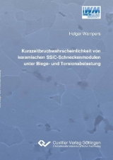 Kurzzeitbruchwahrscheinlichkeit von keramischen SSiCSchneckenmodulen unter Biege- und Torsionsbelastung - Holger Wampers