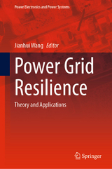 Power Grid Resilience - 