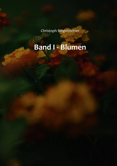 Band I - Christoph Ringelstetter