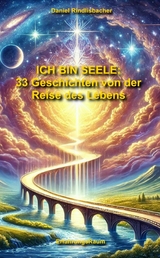 Ich bin Seele: 33 Geschichten von der Reise des Lebens - Daniel Rindlisbacher