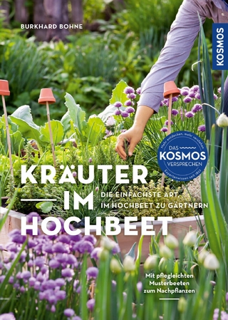 Kräuter im Hochbeet