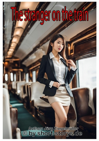 The stranger on the train