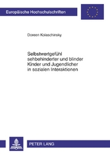 Selbstwertgef&uuml;hl sehbehinderter und blinder Kinder und Jugendlicher in sozialen Interaktionen - Doreen Kolaschinsky