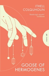 Goose of Hermogenes - Ithell Colquhoun