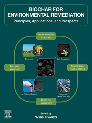 Biochar for Environmental Remediation