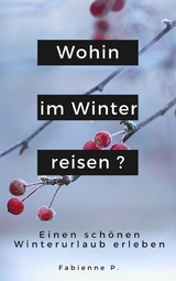 Wohin im Winter reisen ? - Fabienne P.
