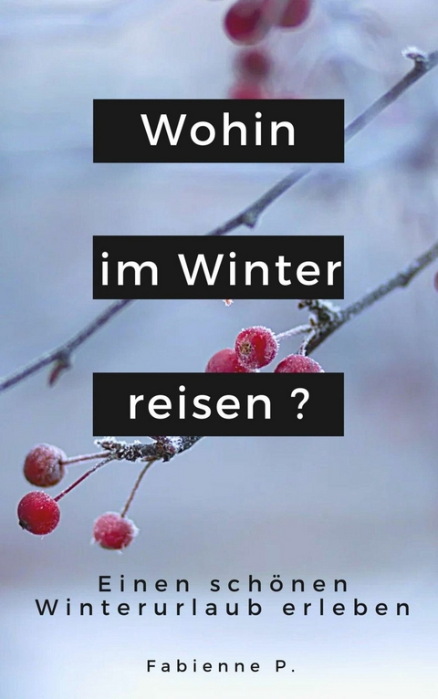 Wohin im Winter reisen ? - Fabienne P.