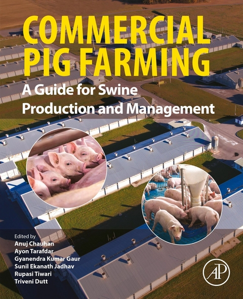 Commercial Pig Farming - 