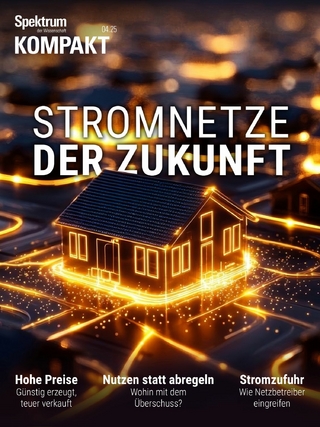 Spektrum Kompakt - Stromnetze der Zukunft