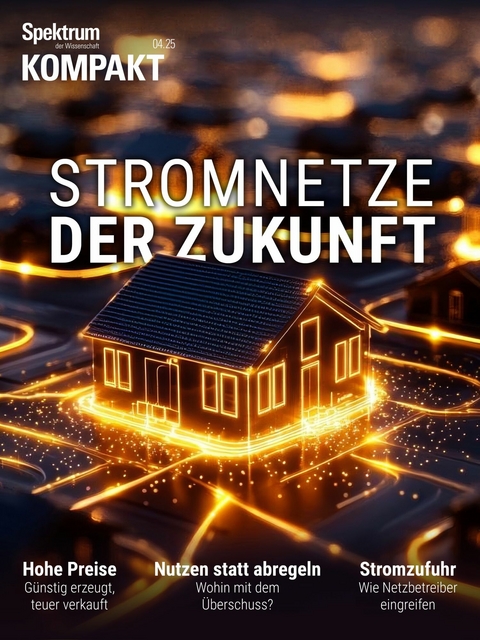 Spektrum Kompakt - Stromnetze der Zukunft -  Spektrum der Wissenschaft