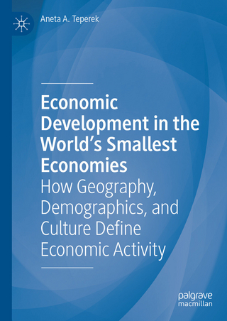 Economic Development in the World's Smallest Economies