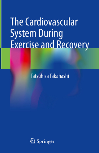 The Cardiovascular System During Exercise and Recovery