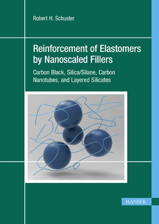 Reinforcement of Elastomers by Nanoscaled Fillers