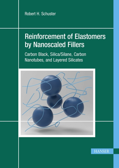 Reinforcement of Elastomers by Nanoscaled Fillers - Robert H. Schuster