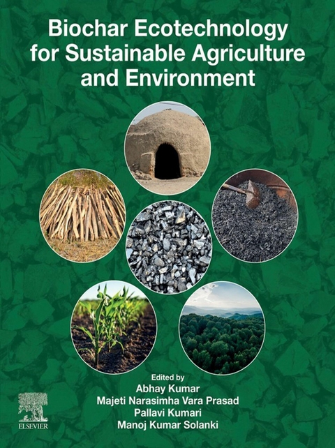 Biochar Ecotechnology for Sustainable Agriculture and Environment - 